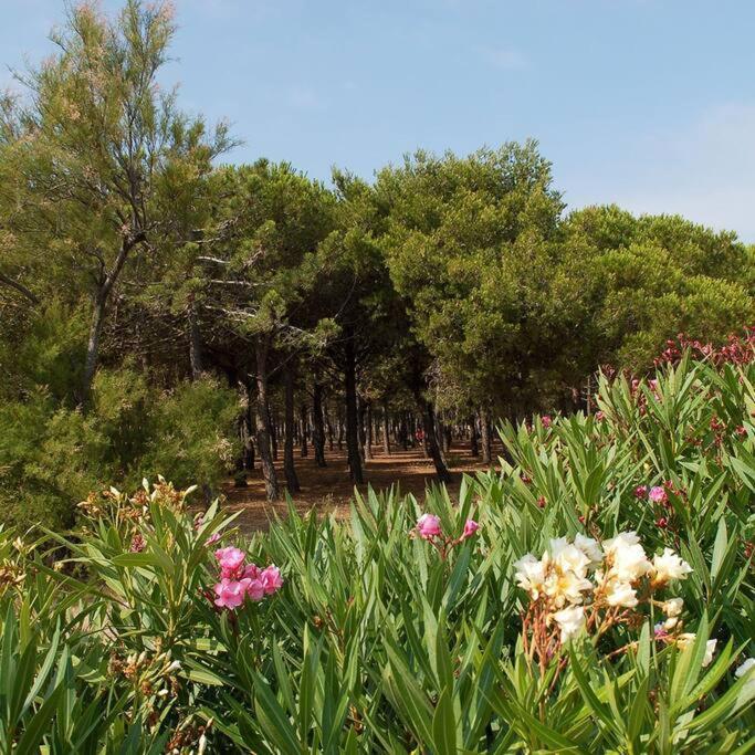 לה ברקרה T2 Vue Mer Palm Beach מראה חיצוני תמונה